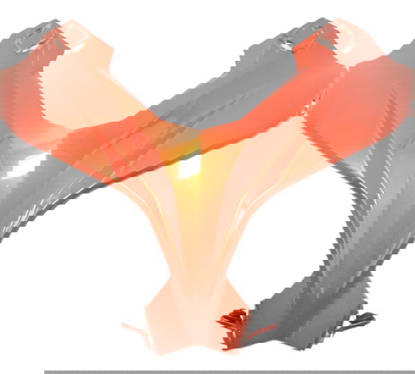 Carenagem Frontal Kawasaki Ninja 300 13-18 Original Vermelho