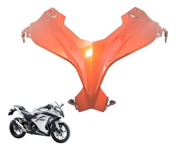 Carenagem Frontal Kawasaki Ninja 300 13-18 Original