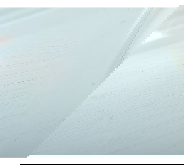 Bolha C/ Detalhes Ressecada Kawasaki Ninja 300 13-18 Orig