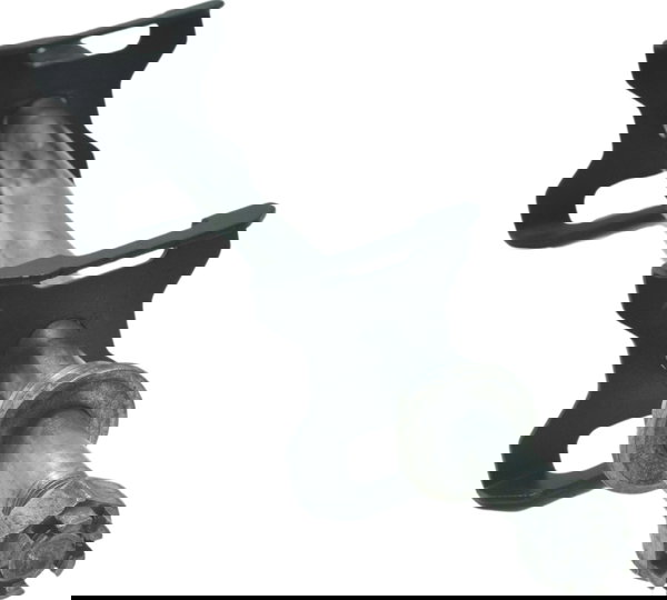 Eixo Roda Traseira Kawasaki Ninja 300 13-18 Original