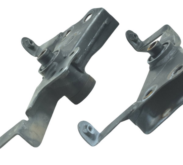 Par Suporte Motor Kawasaki Ninja 300 13-18 Original