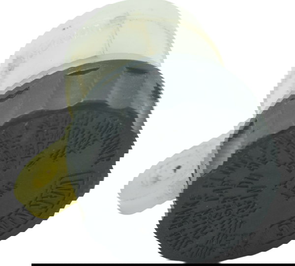 Reservatório Freio Traseiro Kawasaki Ninja 300 13-18 Orig