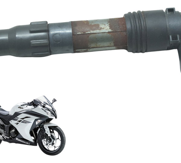 Bobina Ignição Kawasaki Ninja 300 13-18 Original