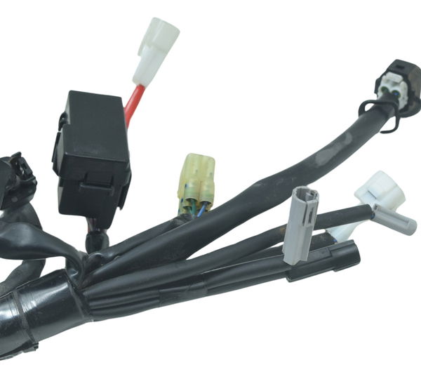 Chicote Principal C/ Abs Yamaha Mt 07 19-24 Original