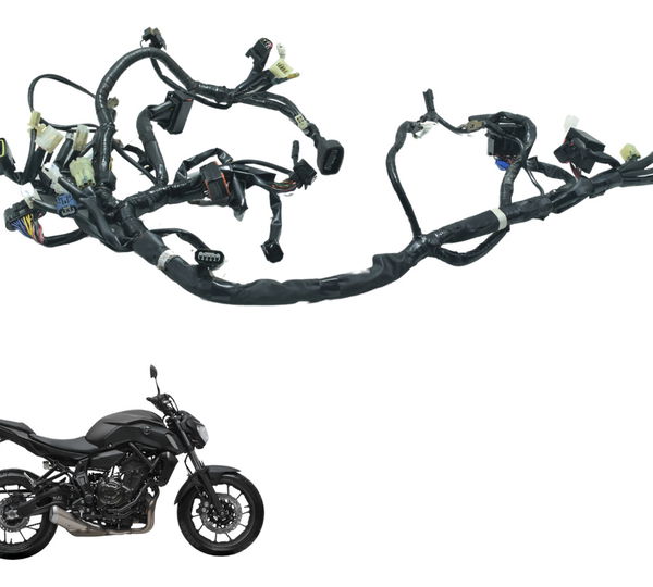 Chicote Principal C/ Abs Yamaha Mt 07 19-24 Original