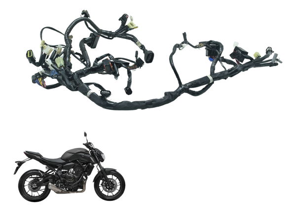 Chicote Principal C/ Abs Yamaha Mt 07 19-24 Original
