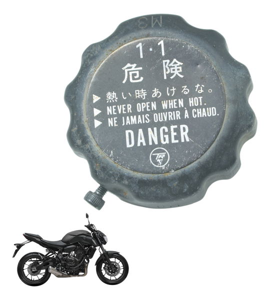 Tampa Radiador Yamaha Mt 07 19-24 Original