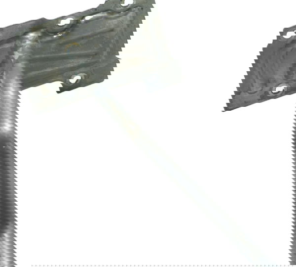 Pescador Óleo Kawasaki Ninja 300 13-18 Original