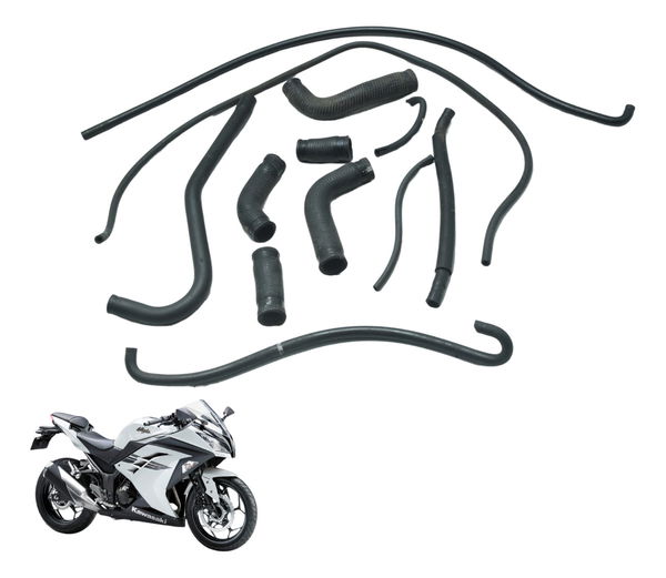 Kit Mangueiras Kawasaki Ninja 300 13-18 Original