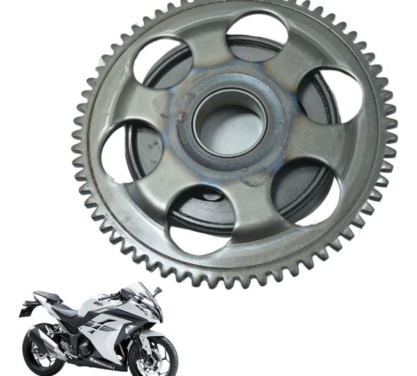 Placa Partida Kawasaki Ninja 300 13-18 Original