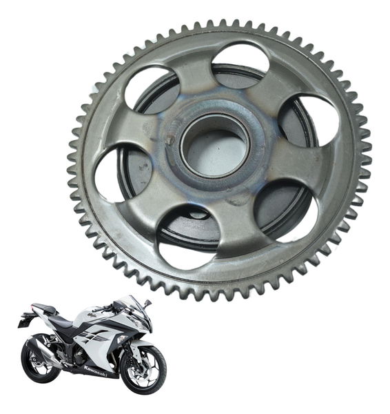 Placa Partida Kawasaki Ninja 300 13-18 Original