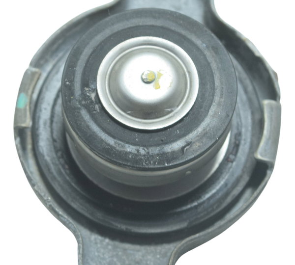 Tampa Radiador Ducati Multistrada V4 V4s 21-24 Original