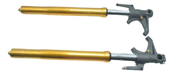 Par Bengalas C/ Detalhes Triumph Daytona 675r 09-12 Original