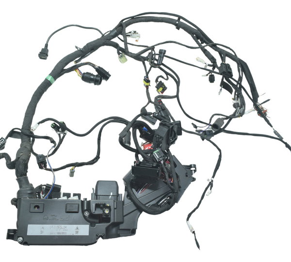 Chicote Principal C/ Avaria Ducati Multistrada V4 V4s 21-24