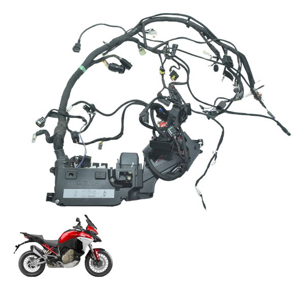 Chicote Principal C/ Avaria Ducati Multistrada V4 V4s 21-24