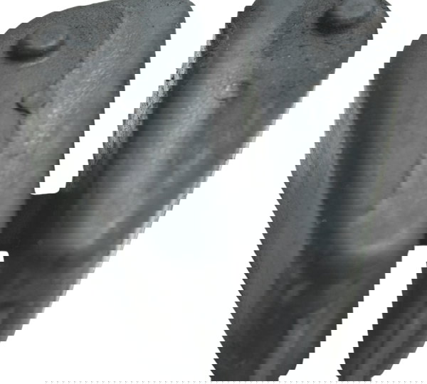 Coxim Cubo Coroa Suzuki Gsx-r Srad 1000 11-16 Original