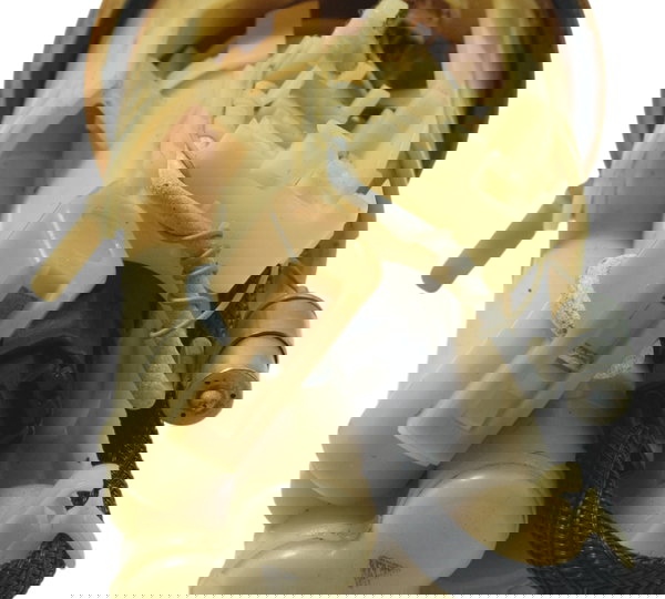 Bomba Combustível Gasolina Triumph Daytona 675r 09-12 Orig