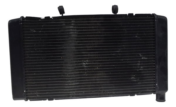 Radiador C/ Detalhes Honda Cb 600f Hornet 08-11 Original
