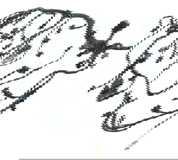 Chicote Principal Triumph Daytona 675r 09-12 Original