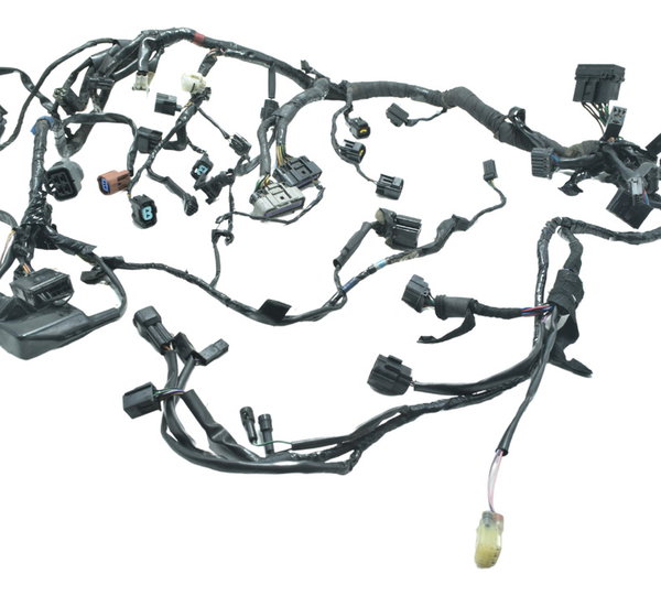 Chicote Principal Triumph Daytona 675r 09-12 Original