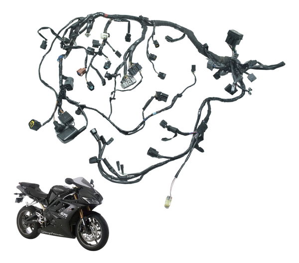 Chicote Principal Triumph Daytona 675r 09-12 Original