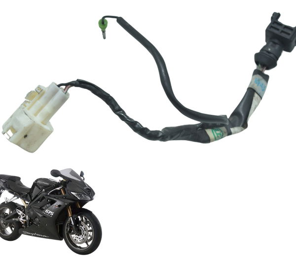Chicote Elétrico Triumph Daytona 675r 09-12 Original
