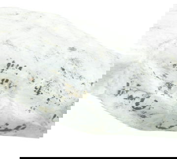 Chicote Motor Honda Cb 600f Hornet 08-11 Original