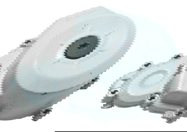 Tampa Estator Motor Esquerdo Bmw G 310 R 17-20 Original