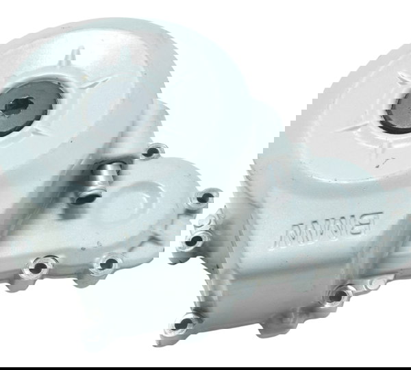 Tampa Estator Motor Esquerdo Bmw G 310 R 17-20 Original Cinza