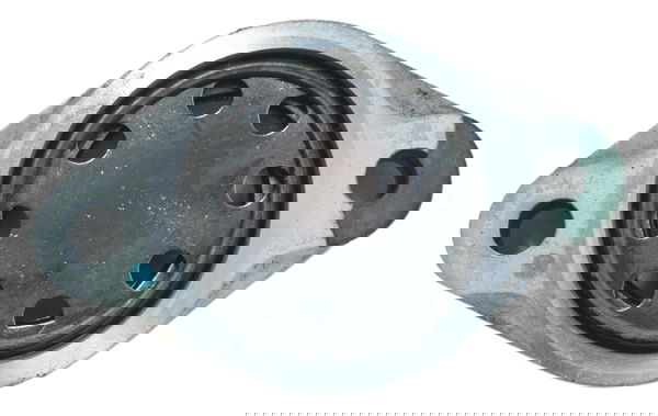 Visor Nível Óleo Bmw G 310 R 17-20 Original