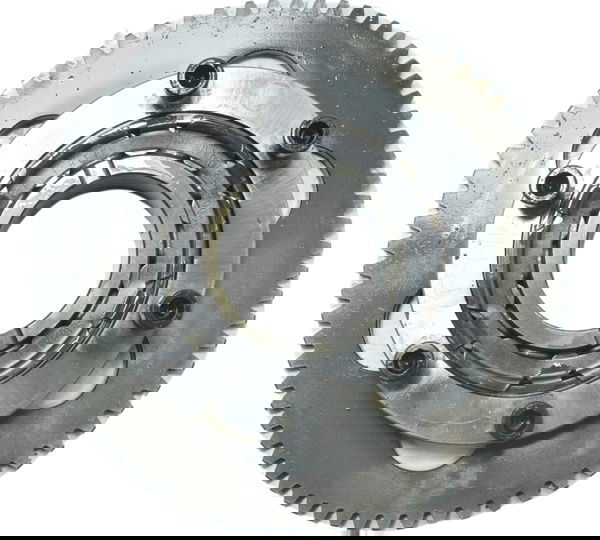 Placa Partida Triumph Tiger 900 Rally Pro 20-24 Original