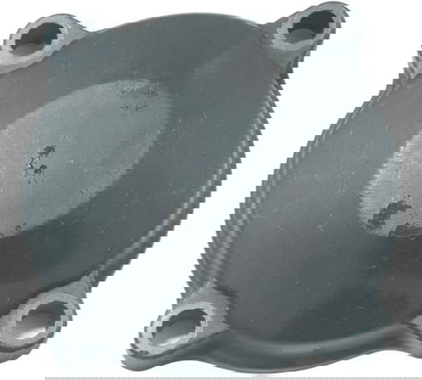 Tampa Balanceiro Triumph Tiger 900 Rally Pro 20-24 Original