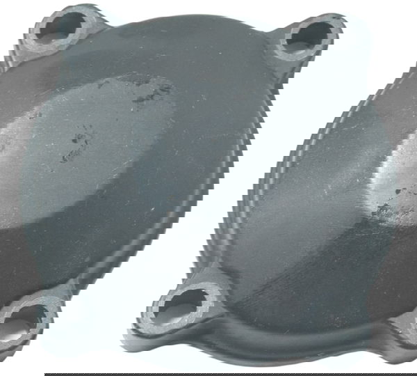 Tampa Balanceiro Triumph Tiger 900 Rally Pro 20-24 Original