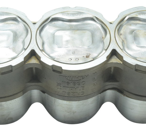 Cilindro Pistão Anéis Triumph Tiger 900 Rally Pro 20-24 Orig
