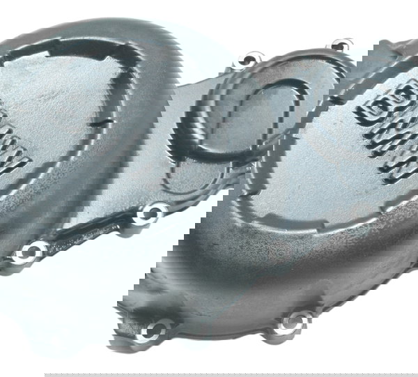 Tampa Estator Bmw F 800 Gs 09-17 Original Preto