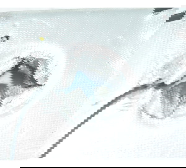 Capa Ponteira Escape Dir Ducati Streetfighter V4 V4s 21-24