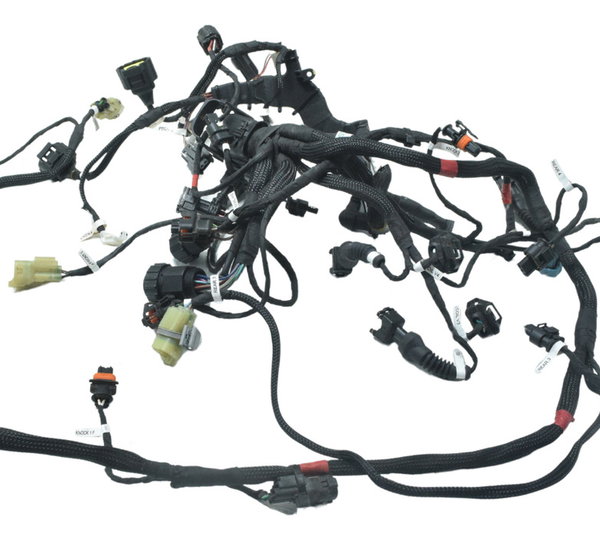 Chicote Injeção Ducati Streetfighter V4 V4s 21-24 Original