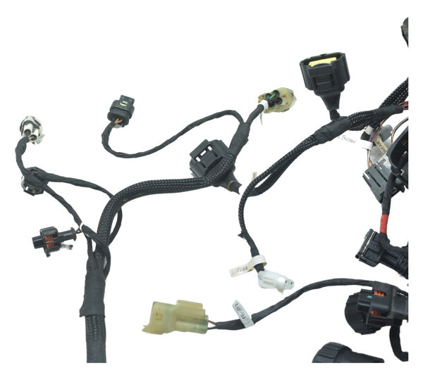 Chicote Injeção Ducati Streetfighter V4 V4s 21-24 Original