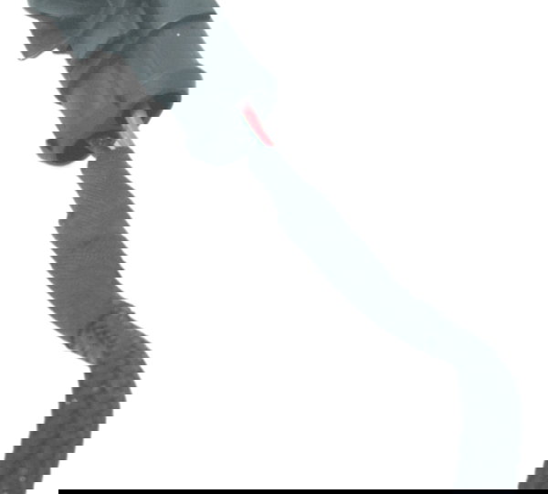 Chicote Ventoinha Ducati Streetfighter V4 V4s 21-24 Original