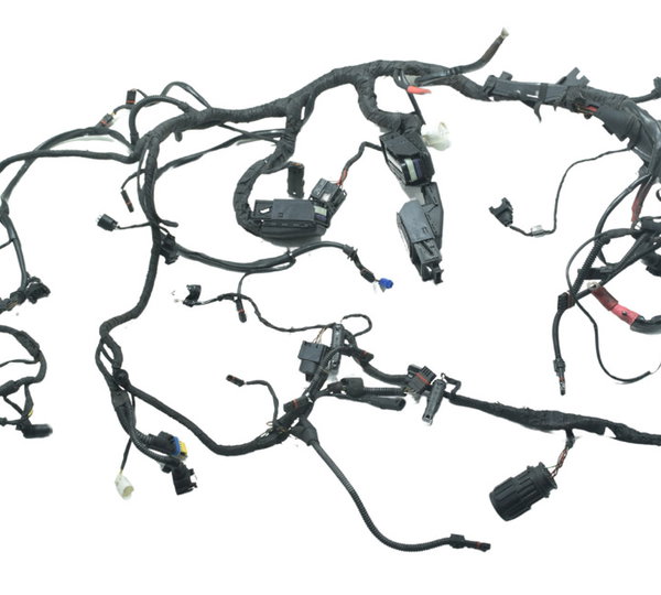 Chicote Principal C/ Detalhes Bmw R1200 R 1200 Gs 08-12 Orig