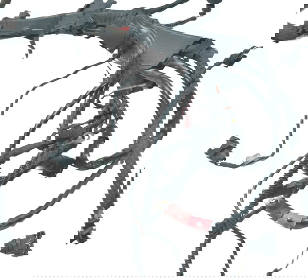 Chicote Principal C/ Detalhes Bmw R1200 R 1200 Gs 08-12 Orig