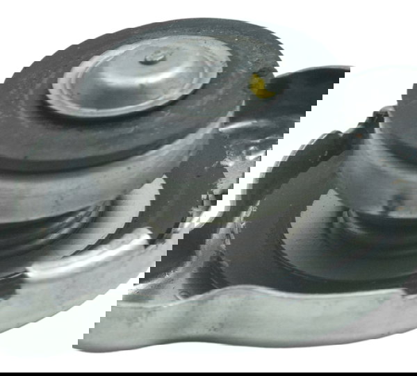 Tampa Radiador Ducati Streetfighter V4 V4s 21-24 Original