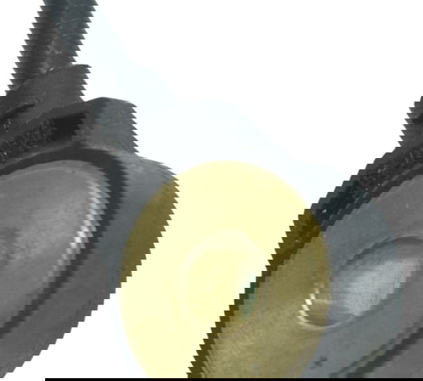 Sensor Detonação Ducati Streetfighter V4 V4s 21-24 Original