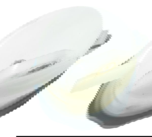 Reservatório Freio Dianteiro Kawasaki Zx 6r 05-06 Original