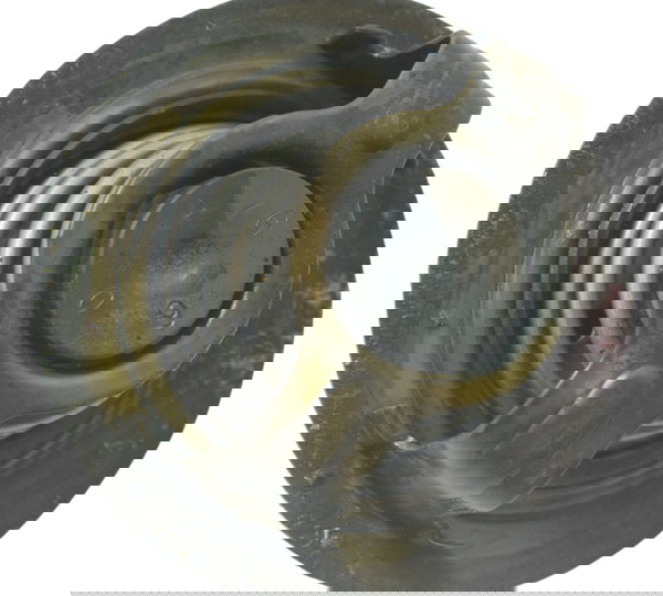 Válvula Termostática Kawasaki Zx 6r 05-06 Original