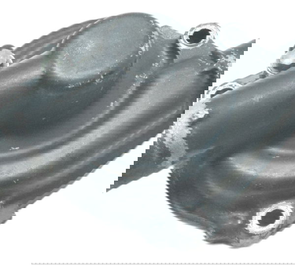 Tampa Bomba Água Kawasaki Zx 6r 05-06 Original