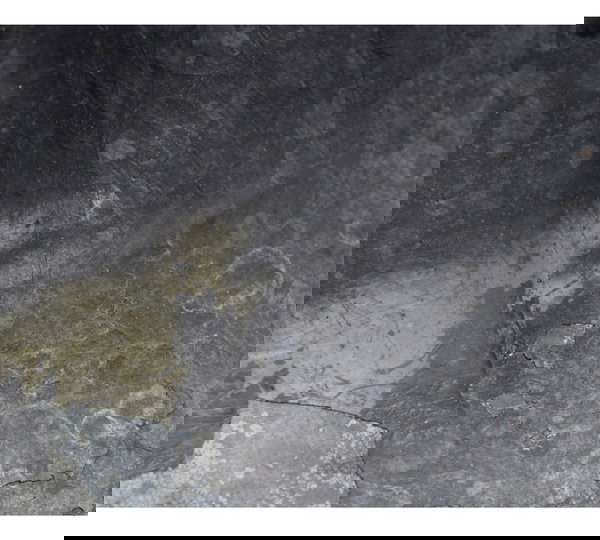 Spoiler Esquerdo C/ Avaria Kawasaki Zx 6r 05-06 Original