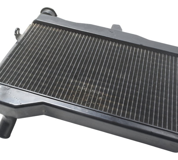 Radiador Yamaha Mt 07 19-24 Original