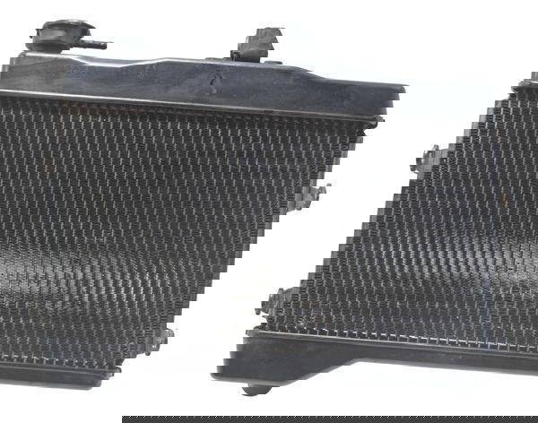 Radiador Yamaha Mt 07 19-24 Original
