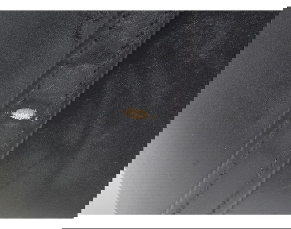 Banco Traseiro Yamaha Mt 07 19-24 Original
